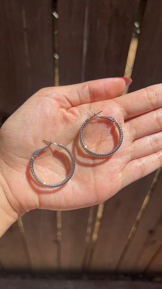 Double Hoop Earrings